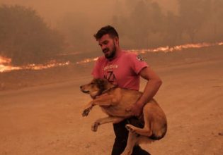 Φωτιά στην Πάρνηθα: «Έκανα αυτό που έπρεπε, θα είχα τύψεις» συγκινεί ο νεαρός που έσωσε ζωάκια