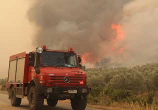 Φωτιά στον Έβρο: Οι άνεμοι δυσκολεύουν το έργο της κατάσβεσης – Αντιμέτωποι με δύσκολες συνθήκες οι πυροσβέστες
