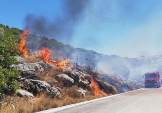 Κρήτη: Φωτιά και πάλι κοντά στο δάσος της Κέρης- Ισχυρές δυνάμεις απέτρεψαν τα χειρότερα