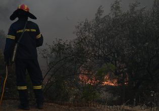 Φωτιά στην Κάρυστο: Καλύτερη η εικόνα – Φόβος για τις αναζωπυρώσεις