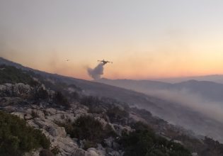 Πυρκαγιές: Ποιες περιφέρειες βρίσκονται σε κίνδυνο