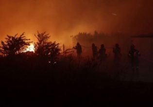 Φωτιά στην Αλεξανδρούπολη: «Λάβαμε μήνυμα εκκένωσης στις 3 το ξημέρωμα – Εκατοντάδες άνθρωποι εγκατέλειψαν τα σπίτια τους»