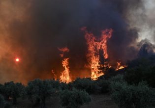 Το συγκλονιστικό σκίτσο του Αρκά για τις φωτιές που καίνε τη χώρα