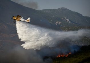Φωτιές: Στάχτη 470.000 στρέμματα από τις πρόσφατες πυρκαγιές
