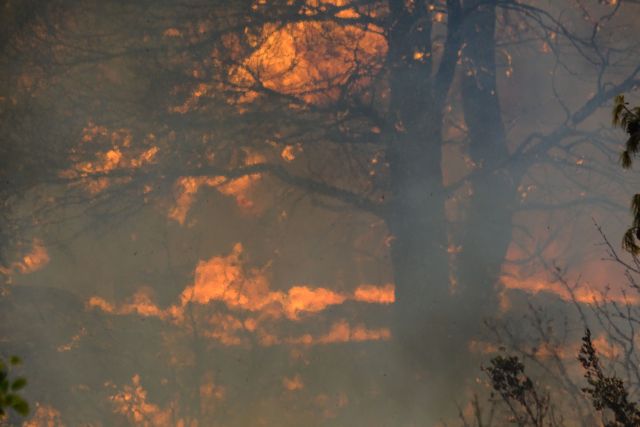 Ξεκίνησε η καταγραφή των ζημιών από την τεχνική υπηρεσία του Δήμου Φυλής