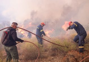 Wildfires in Greece: Parnitha, Evros, Boeotia – Flare-ups