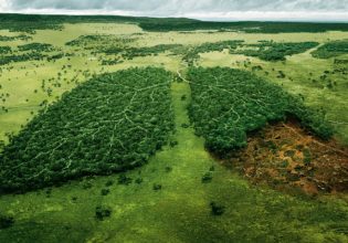 Σύνοδος για τη διάσωση του Αμαζονίου: Κοινή πρωτοβουλία μετά από 14 χρόνια