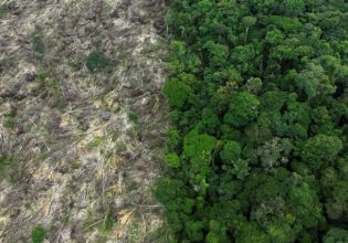 Αμαζόνιος: Μειώθηκε η αποψίλωση στο βραζιλιάνικο τμήμα του – Αυξήθηκε ανησυχητικά στη Σεχάντου