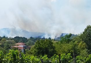 Μάχη για έκτη μέρα στη Δαδιά: Μεγάλη ελπίδα το άθικτο από τις φλόγες δάσος