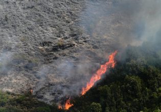 Φωτιά στον Ασπρόπυργο: Μεγάλη κινητοποίηση της Πυροσβεστικής – Σηκώθηκαν εναέρια μέσα