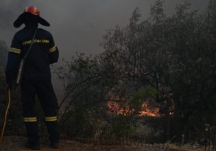 Φωτιά στον Όλυμπο: Καίει δύσβατη περιοχή στην Καρυά
