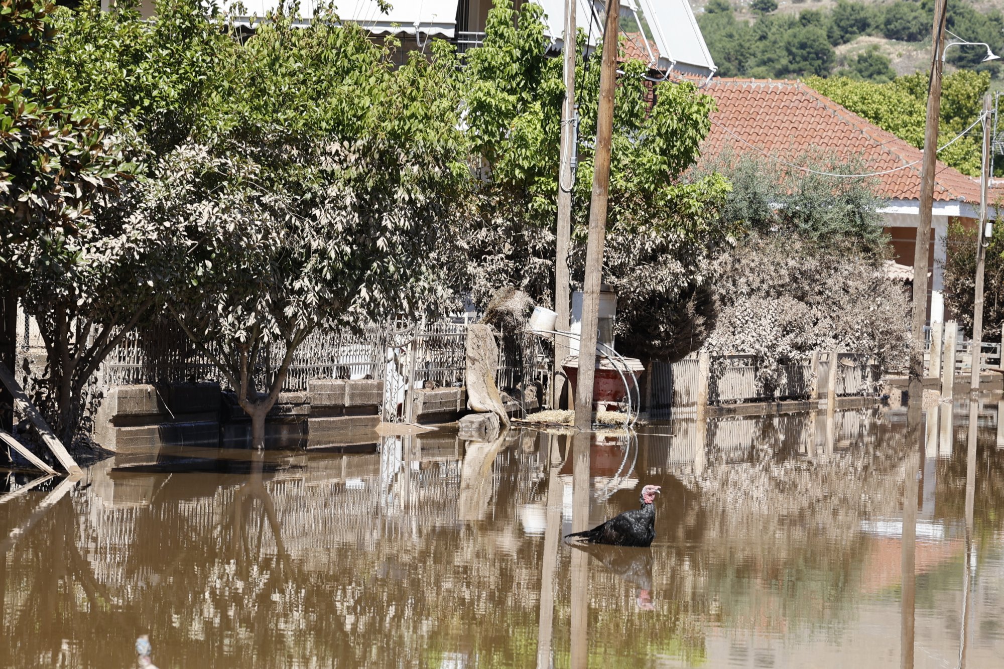 Κακοκαιρία Daniel: «Βούλιαξε» ο θεσσαλικός κάμπος - Στα 720.000 τα πλημμυρισμένα στρέμματα