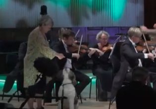 Μια διαφορετική συναυλία: Σκυλάκια «ερμηνεύουν» κλασική μουσική