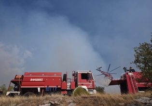 Υπό έλεγχο η φωτιά στο Μαρκόπουλο Ωρωπού – 31 δασικές πυρκαγιές εκδηλώθηκαν το τελευταίο 24ωρο