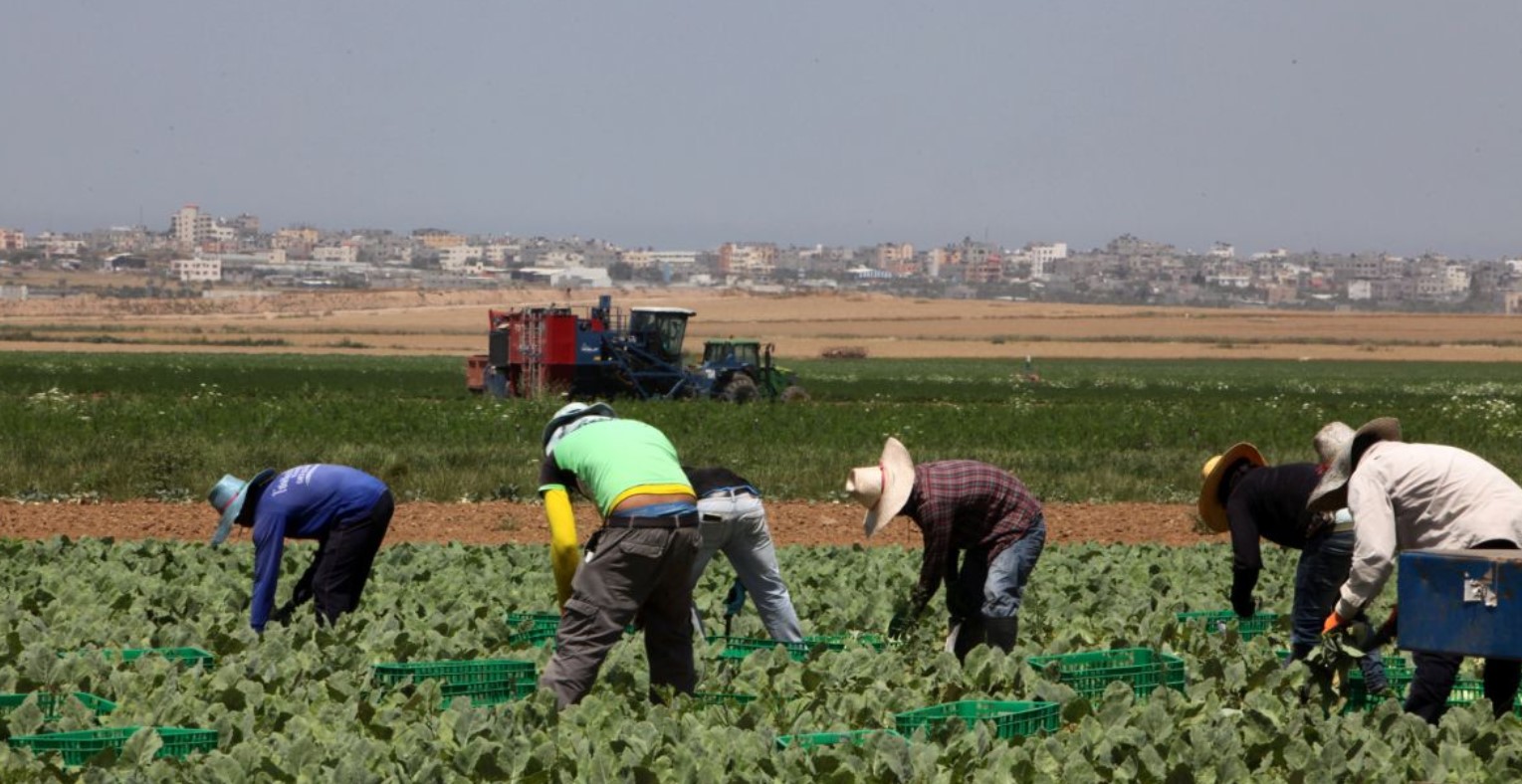 Πόλεμος Ισραήλ - Χαμάς: Δεκάδες Ταϊλανδοί εργάτες θύματα των επιθέσεων στα σύνορα