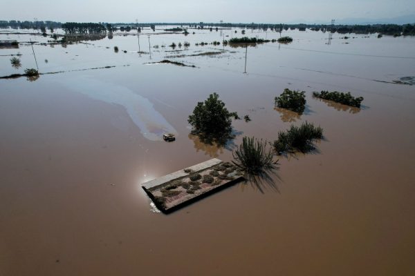 FAO: «Χάνεται» το 5% του ετήσιου αγροτικού παγκόσμιου ΑΕΠ 