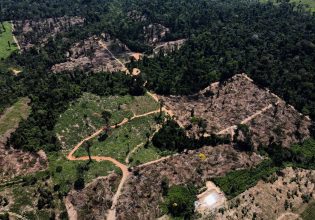 Δάση: Χάνεται το στοίχημα του 2030 κατά της αποψίλωσης