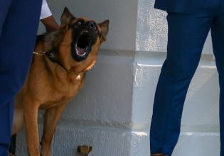 Λευκός Οίκος: Απομακρύνθηκε ο δεύτερος σκύλος του Μπάιντεν