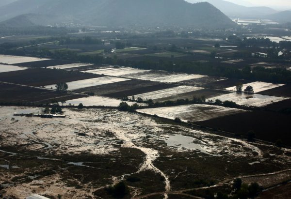 Θεσσαλία: Εννέα κρούσματα λεπτοσπείρωσης το τελευταίο 24ωρο