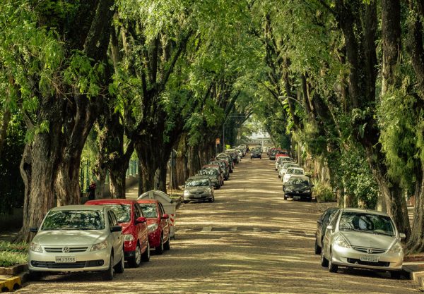 Αυτός είναι ο πιο όμορφος δρόμος του πλανήτη