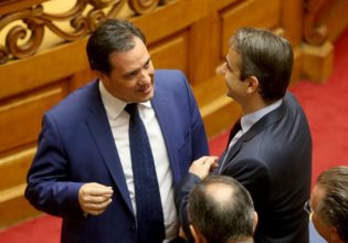 ΣΥΡΙΖΑ: Γεωργιάδης διαψεύδει Μητσοτάκη – Ούτε ο ένας ούτε ο άλλος θέλουν να πατάξουν την αισχροκέρδεια