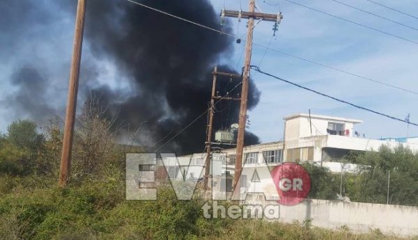 Υπό έλεγχο η φωτιά που ξέσπασε σε εργοστάσιο στο Βαθύ Ευβοίας