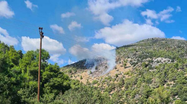 Φωτιά στην Νέα Μάκρη – Σηκώθηκαν εναέρια μέσα