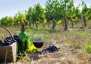 ΚΕΟΣΟΕ: Ο δημιουργός του πιο ακριβού κρασιού στον κόσμο καταπιάνεται με τα αμπέλια της Νάξου
