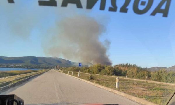 Μεγάλη φωτιά στο Κάτω Σούλι Μαραθώνα