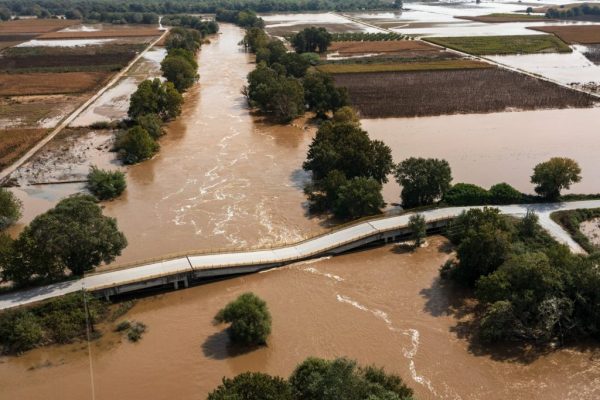 Η φύση θα σώσει τη Θεσσαλία, λέει το WWF – Αντιπλημμυρικά που πνίγουν αντί να σώζουν