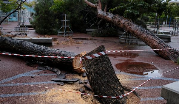 Η Bettina έκοψε τα δέντρα της χώρας – Πάνω από 280 κοπές στη χώρα