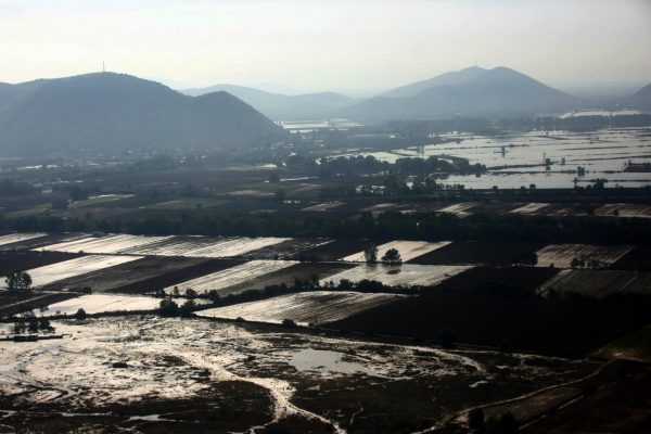 Αποκαλυπτική έρευνα: Πώς ο Daniel φέρνει νέο κύμα ακρίβειας [γραφήματα]