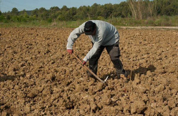 ΕΛΣΤΑΤ: Το υψηλό κόστος κρατάει ψηλά και τις τιμές