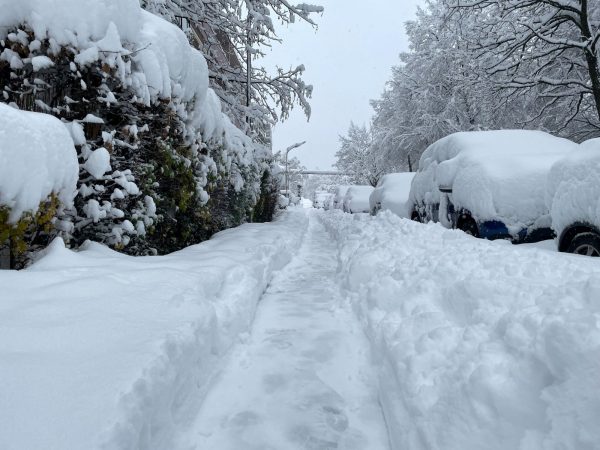 Γερμανία: Χιονόπτωση ρεκόρ στο Μόναχο – Χωρίς ρεύμα χιλιάδες νοικοκυριά, χάος στις αεροπορικές συγκοινωνίες