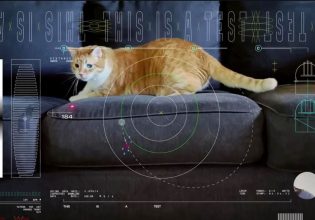 NASA: Ο Τάτερς το γατί σε πείραμα διαπλανητικής επικοινωνίας