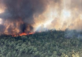 Αυστραλία: Πλήττεται από κύμα καύσωνα – Μαίνονται πάνω από 50 πύρινα μέτωπα