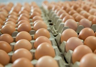 Τα αυγά «απειλούν» την επανεκλογή Πούτιν