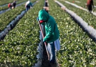 Εργαζόμενοι μετανάστες: Η μεγαλύτερη πηγή πλούτου και ντροπής της ευρωπαϊκής αγροτοβιομηχανίας