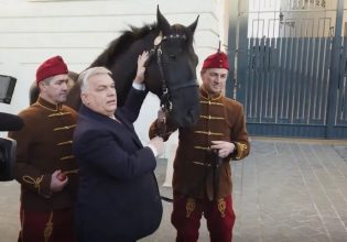 Βίκτορ Όρμπαν: Το καθαρόαιμο άλογο που έκανε δώρο στον Ρετζέπ Ταγίπ Ερντογάν