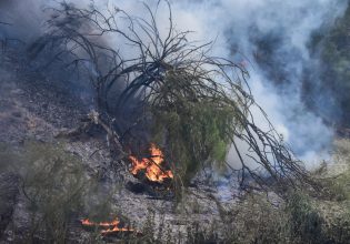 Οι ανοιχτές πληγές που άφησαν πίσω τους οι δασικές πυρκαγιές