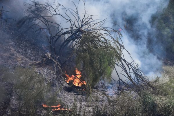 Οι ανοιχτές πληγές που άφησαν πίσω τους οι δασικές πυρκαγιές