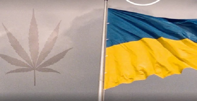 Η Ουκρανία λέει «ναι» στη μαριχουάνα λόγω της ρωσικής εισβολής