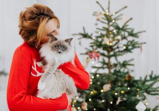 Χριστουγεννιάτικοι διατροφικοί κίνδυνοι για τη γάτα σας