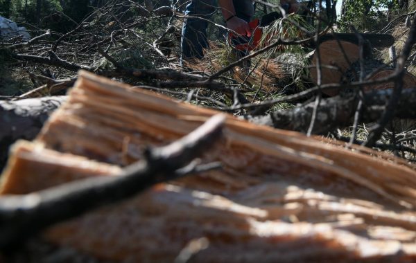 Δήμος της Αττικής θέτει σε εφαρμογή «σχέδιο έκτακτης αντιμετώπισης καθαριότητας» – Ο ρόλος των πολιτών