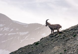 Η «εισαγόμενη» ακρίβεια κοντεύει να πάρει υπηκοότητα και η κυβέρνηση τα βουνά να πάει να βρει την αντιπολίτευση