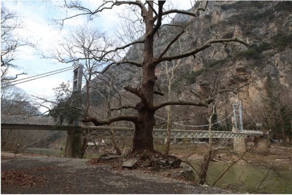 Τέμπη: Διαλυμένη η κρεμαστή γέφυρα στην Αγία Παρασκευή – Είχε «χτυπηθεί» από τον Daniel