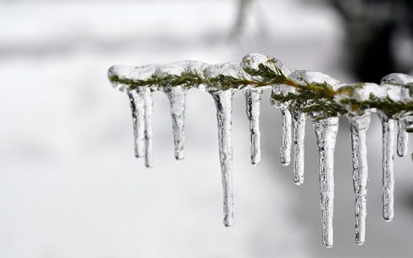 Meteo: Ισχυρός παγετός στη Δυτική Μακεδονία – Στους -18 βαθμούς η θερμοκρασία στη Φλώρινα