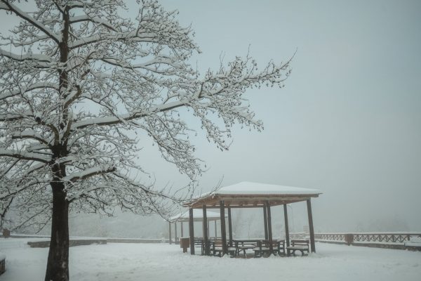 Χιόνια τώρα στα βόρεια της Αττικής – Κλειστοί δρόμοι λόγω κακοκαιρίας – Στα λευκά η Πάρνηθα (Βίντεο)