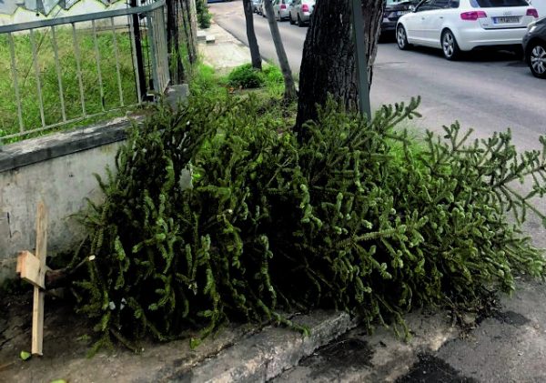 Η επιβάρυνση από το φυσικό και το τεχνητό δέντρο