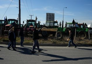 Mειωμένες αγροτικές επιδοτήσεις και κυβερνητικές καθυστερήσεις καταγγέλλει η αντιπολίτευση